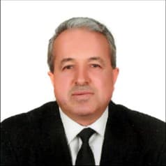 Hasan Günbattı, Denetim Kurulu Üyesi